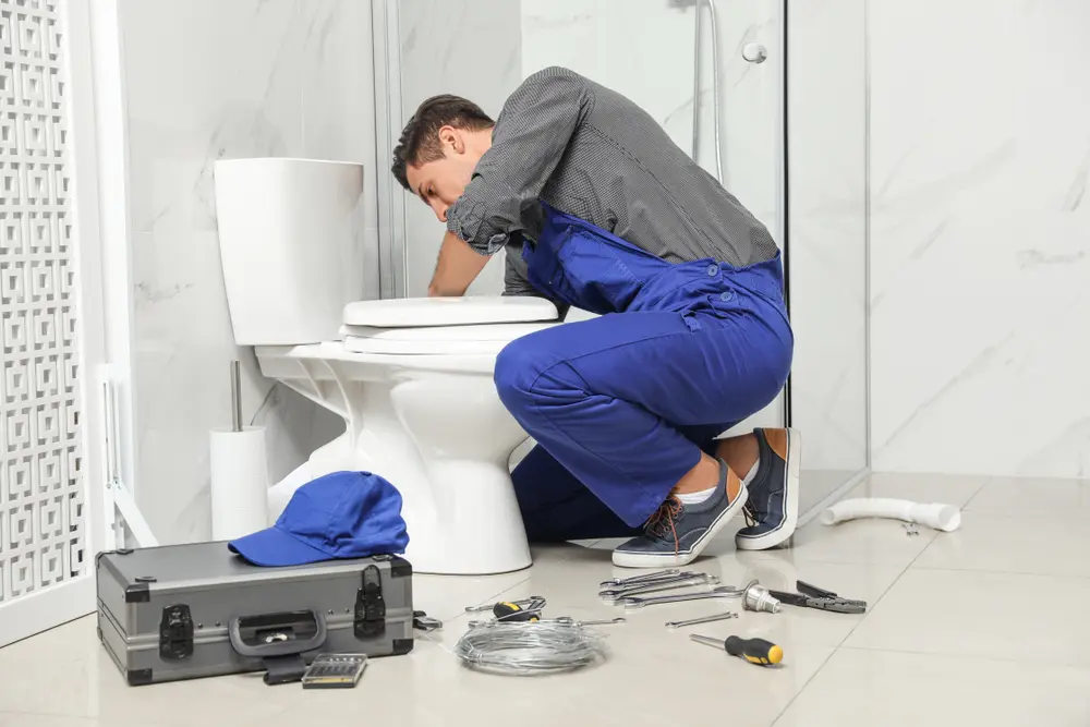 Toilet Installation in Portales
